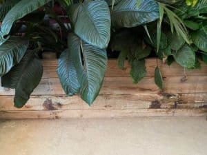 Retaining wall diy handymen often use timber walls in their landscapes.